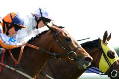 Product picture Professional Lay Secrets